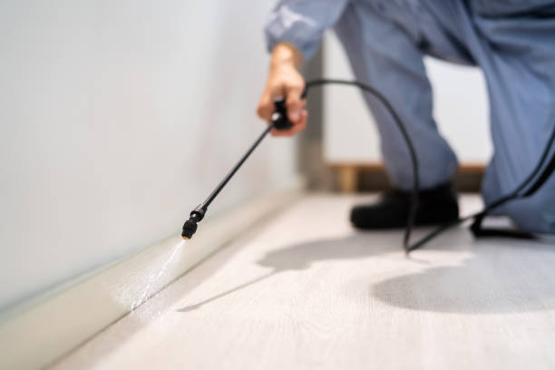 Licensed Fumigation Services service in Lincoln County County, MO - Nex Pest Control
